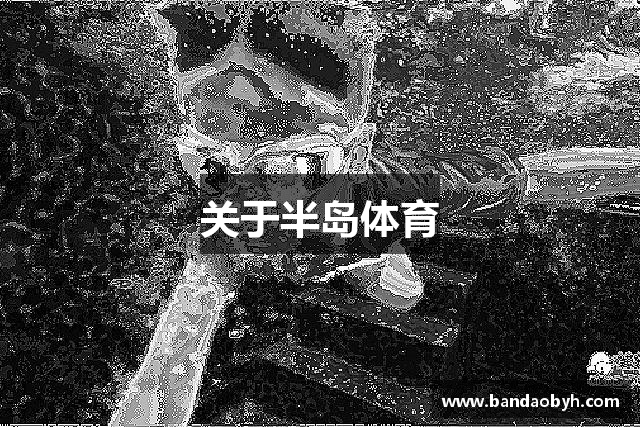 关于半岛体育
